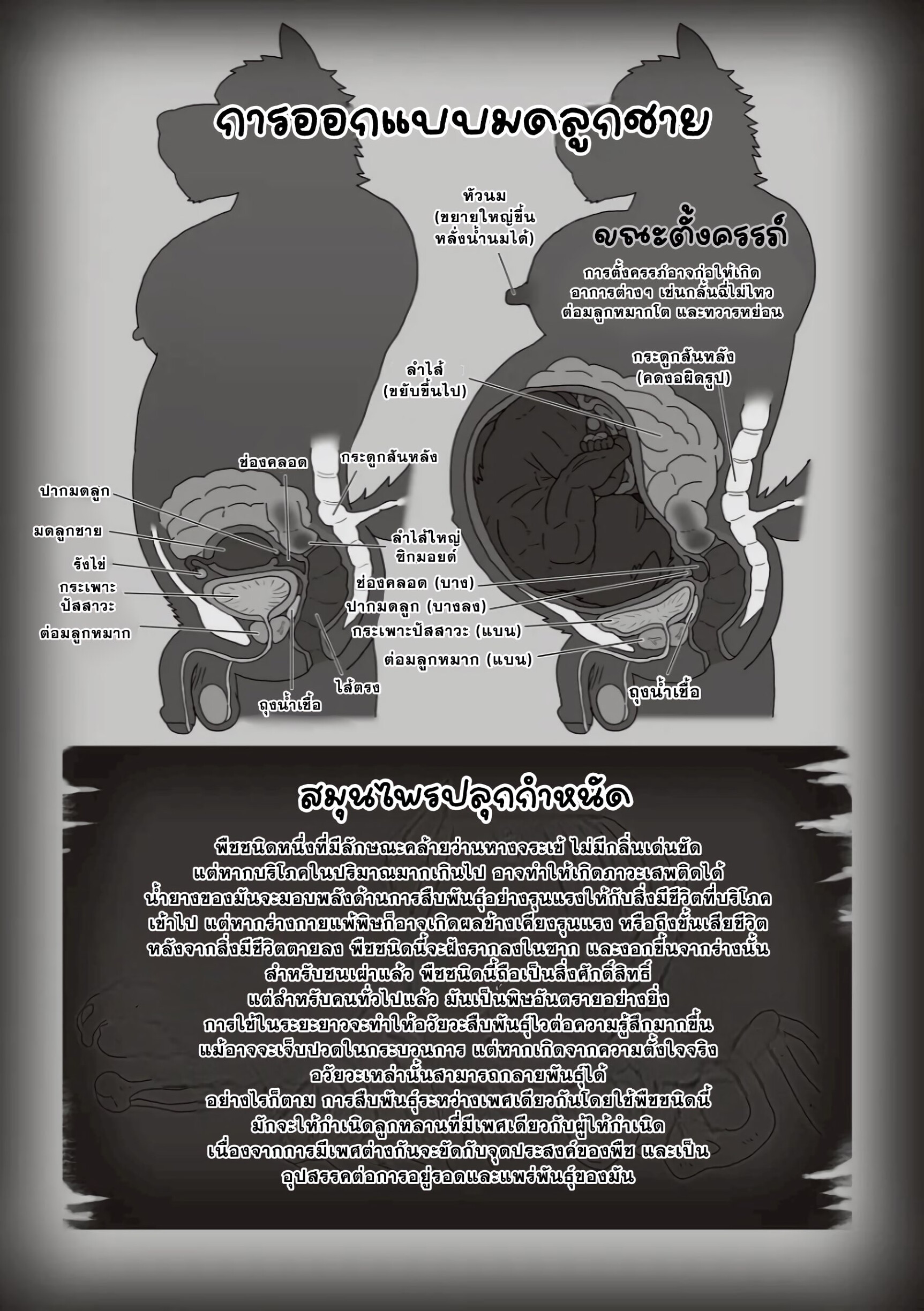 ตามหาสมุนไพร 03-56